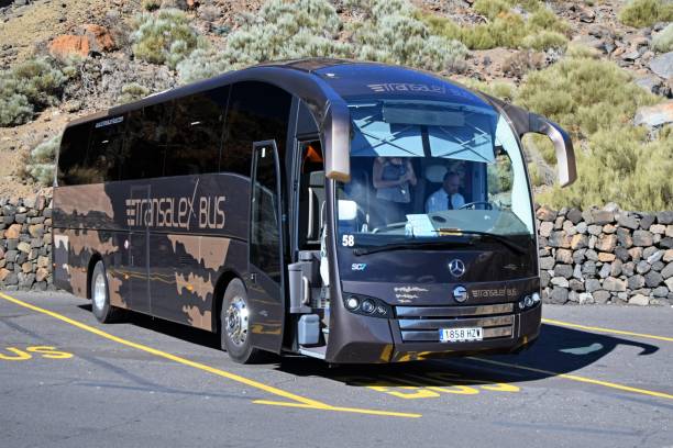 Hiker looking at mountain range